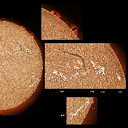 <font class="tempImageTitleThumbText">ARs 3030-3039, Prominences And Filaments</font><br>James Roger Samworth<br>Jun 19 9:57am<br>Nailstone, Nuneaton, UK