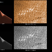 <font class="tempImageTitleThumbText">AR2816 And Prominence</font><br>James Roger Samworth<br>Apr 24 12:45pm<br>Nailstone, Nuneaton, UK