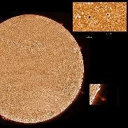 <font class="tempImageTitleThumbText">AR2954, 2955 And Prominences</font><br>James Roger Samworth<br>Feb 27 1:43pm<br>Nailstone, Nuneaton, UK