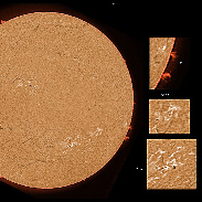 <font class="tempImageTitleThumbText">AR3105-3111 And Prominences</font><br>James Roger Samworth<br>Sep 28 1:43pm<br>Nailstone, Nuneaton, UK