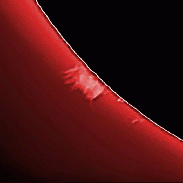 <font class="tempImageTitleThumbText">Solar Prominences</font><br>James Roger Samworth<br>Sep 19 9:22pm<br>Nailstone, Nuneaton, UK