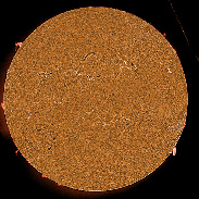 <font class="tempImageTitleThumbText">ARs 4378-4386 Filaments And Prominences</font><br>James Roger Samworth<br>Mar 5 11:07pm<br>Nailstone, Leicestershire UK