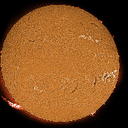 <font class="tempImageTitleThumbText">ARs 4294-4305 Filaments And Prominences 1</font><br>James Roger Samworth<br>Dec 11 1:40pm<br>Nailstone, Leicestershire UK