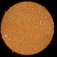 <font class="tempImageTitleThumbText">ARs 3780-3793 Filaments And Prominences</font><br>James Roger Samworth<br>Aug 17 9:37pm<br>Nailstone, UK