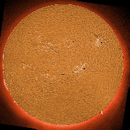 <font class="tempImageTitleThumbText">ARs 3959- 3971 Filaments And Prominences</font><br>James Roger Samworth<br>Jan 21 6:10pm<br>Nailstone, UK