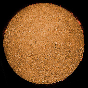 <font class="tempImageTitleThumbText">Filaments And Prominences</font><br>James Roger Samworth<br>Feb 24 3:53pm<br>Nailstone, Leicestershire UK