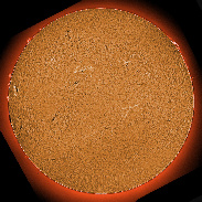 <font class="tempImageTitleThumbText">ARs 4041-4047 Filaments And Prominences</font><br>James Roger Samworth<br>Mar 29 11:32pm<br>Nailstone, UK