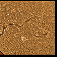 <font class="tempImageTitleThumbText">Nice Filament, AR3105-3113 And Prominence</font><br>James Roger Samworth<br>Oct 1 12:55pm<br>Nailstone, Nuneaton, UK