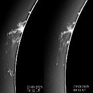 <font class="tempImageTitleThumbText">Giant Very Active Prominence. </font><br>James Roger Samworth<br>May 23 2:09pm<br>Nailstone, UK