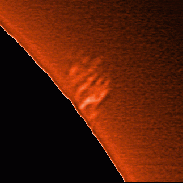 <font class="tempImageTitleThumbText">Solar Prominences</font><br>James Roger Samworth<br>Feb 6 3:35pm<br>Nailstone, Nuneaton, UK