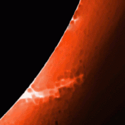 <font class="tempImageTitleThumbText">Solar Prominences</font><br>James Roger Samworth<br>Feb 11 5:18pm<br>Nailstone, Nuneaton, UK