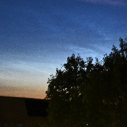 <font class="tempImageTitleThumbText">My First NLCs Of The Season</font><br>Jan Koeman<br>Jun 21 11:47am<br>Kloetinge, the Netherlands