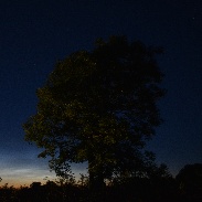 <font class="tempImageTitleThumbText">Noctilucent Clouds</font><br>Jenny Clancy<br>Jun 17 8:25pm<br>County Limerick, Ireland