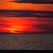 <font class="tempImageTitleThumbText">Sunrise Solar Eclipse</font><br>Jim Fakatselis<br>Jun 10 12:09pm<br>Crabmeadow Bewach, Northport, N