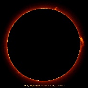 <font class="tempImageTitleThumbText">Solar Prominence</font><br>Jim Tegerdine<br>Nov 27 11:54pm<br>Marysville, Washington, USA