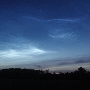 <font class="tempImageTitleThumbText">NLCs</font><br>Jo Hilpert<br>Jun 24 8:32am<br>Muenster Westfalia