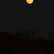 <font class="tempImageTitleThumbText">Wolf Full Moon Above Rooftops</font><br>John Dartnell<br>Jan 3 5:19pm<br>North Wiltshire, UK