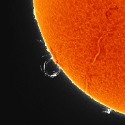 <font class="tempImageTitleThumbText">Post-flare Looping Prominences</font><br>John Stetson<br>Mar 6 2:34pm<br>looping proms on the suns limb 