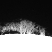 <font class="tempImageTitleThumbText">Solar Prominence</font><br>John Stetson<br>Sep 16 7:04pm<br>Sebago Lake, Maine