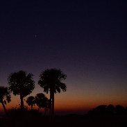 <font class="tempImageTitleThumbText">Venus And Jupiter</font><br>Joseph Golebieski<br>Mar 2 12:55am<br>Treasure Island, FL