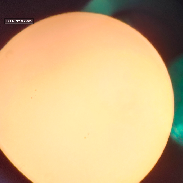 <font class="tempImageTitleThumbText">Prominence And Sunspots</font><br>Joseph Marshall<br>Feb 25 7:48pm<br>New Port Richey, Florida
