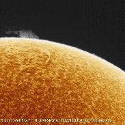 <font class="tempImageTitleThumbText">Filaprom</font><br>Juan Manuel Palomo <br>Dec 3 6:22pm<br>Tucson, AZ.