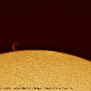 <font class="tempImageTitleThumbText">Solar Prominence </font><br>Juan Manuel Palomo<br>Nov 13 8:22pm<br>Tucson, AZ.