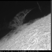 <font class="tempImageTitleThumbText">Proms</font><br>jp-brahic<br>Sep 4 6:31pm<br>Uzès ( France )