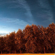 <font class="tempImageTitleThumbText">Nlc?</font><br>juan manuel pérez rayego<br>Jun 25 6:36pm<br>merida, spain.