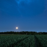 <font class="tempImageTitleThumbText">Noctilucent Clouds </font><br>Kairo Kiitsak<br>Jun 18 12:30pm<br>Karivärava, Estonia