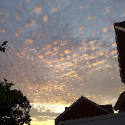 <font class="tempImageTitleThumbText">Noctilucent Clouds Possibly</font><br>Karen<br>Jul 27 8:41am<br>Honiton, Devon England