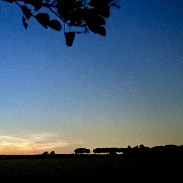 <font class="tempImageTitleThumbText">NLC</font><br>Karin Sijp Schutte<br>Jun 29 1:47pm<br>Lewedorp, Zeeland, Netherlands