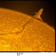 <font class="tempImageTitleThumbText">Shark Filaprom</font><br>Karzaman Ahmad<br>Feb 15 1:39am<br>Langkawi National Observatory, 