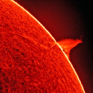 <font class="tempImageTitleThumbText">Solar Prominences</font><br>Karzaman Ahmad<br>Feb 15 5:46am<br>Langkawi National Observatory, 
