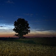 <font class="tempImageTitleThumbText">Noctilucent Clouds</font><br>Kaspars Kurcens<br>Jul 22 9:59pm<br>Latvia, Cesis