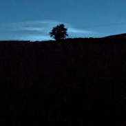 <font class="tempImageTitleThumbText">Noctilucent Clouds </font><br>Kevan Hubbard<br>Jul 12 1:14am<br>Commondale, Yorkshire, England