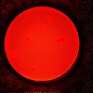 <font class="tempImageTitleThumbText">Sun And Sunspots.</font><br>Kevan Hubbard<br>Mar 31 3:22pm<br>Seaton Carew, Co Durham, Englan