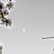 <font class="tempImageTitleThumbText">Venus And Jupiter </font><br>Kevan Hubbard<br>Apr 15 8:13pm<br>Greenwich, London,England 