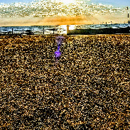 <font class="tempImageTitleThumbText">Sun Rise </font><br>Kevan Hubbard<br>Aug 13 3:56pm<br>Seaton Carew,Co Durham, England
