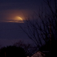 <font class="tempImageTitleThumbText">Lunar Eclipse</font><br>Kevin R. Witman<br>Feb 2 4:51am<br>Cochranville, PA, USA