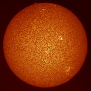 <font class="tempImageTitleThumbText">Beautiful Spots And Proms</font><br>Larry Alvarez<br>Aug 31 12:06am<br>Flower Mound, Texas, USA