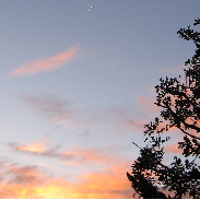 <font class="tempImageTitleThumbText">Moon And Venus Pre-occultation</font><br>Leila Belkora<br>Dec 7 3:53pm<br>Irvine, California, USA