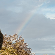<font class="tempImageTitleThumbText">Artemis II And Rainbow</font><br>Lisa Bowen<br>Apr 1 11:06pm<br>The Villages, Florida