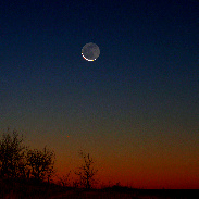 <font class="tempImageTitleThumbText">Crescent Moon + Mercury</font><br>Lukas Gornisiewicz<br>Nov 3 9:29pm<br>Provost, Alberta Canada