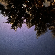 <font class="tempImageTitleThumbText">Aurora</font><br>M<br>Jan 20 3:25pm<br>Massachusetts, USA