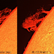 <font class="tempImageTitleThumbText">Prominence</font><br>MASAYUKI NAKAMURA<br>May 5 4:49am<br>Otawara. Tochigi. Japan