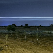 <font class="tempImageTitleThumbText">NLC Clouds?</font><br>Marcella Giulia Pace<br>Aug 3 7:52am<br>Marina di Ragusa (Rg) Sicily (I