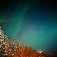 <font class="tempImageTitleThumbText">Auroras In Bergen</font><br>Marco E. Ribas<br>Jan 20 5:02pm<br>Bergen, Norway
