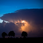 <font class="tempImageTitleThumbText">NLC</font><br>Marek Nikodem<br>Jul 31 3:14am<br>near Szubin, Poland