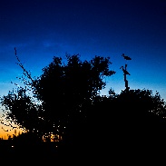 <font class="tempImageTitleThumbText">NLC</font><br>Marek Nikodem<br>Jul 3 4:03am<br>near Szubin, Poland